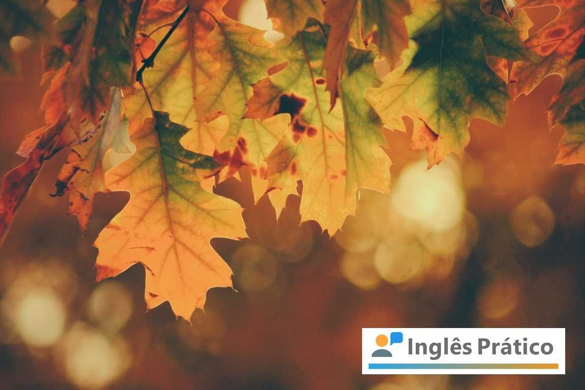 Como Se Escreve Outono Em Inglês - RETOEDU