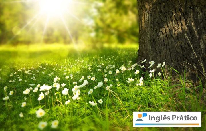 Primavera em inglês