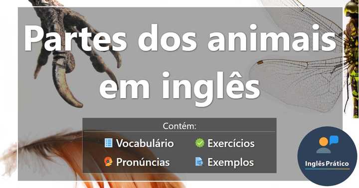 Partes dos animais em inglês com pronúncia e atividades - Inglês Prático